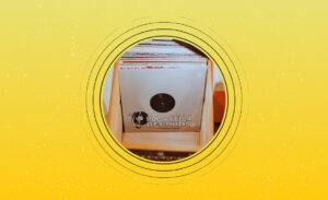 Vinyl Relocation Tips to Move Without Risk