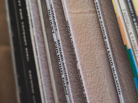 Vinyl Attic Storage Solutions for Long-Term Safety